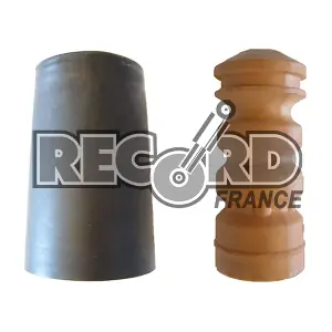 925981 RECORD FRANCE