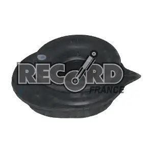 926007 RECORD FRANCE