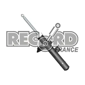 RECORD FRANCE 334371