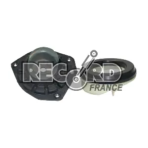 926040 RECORD FRANCE