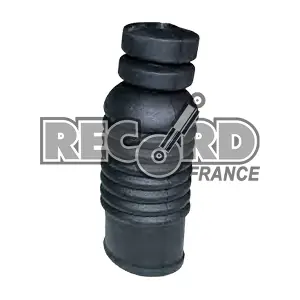 925131 RECORD FRANCE