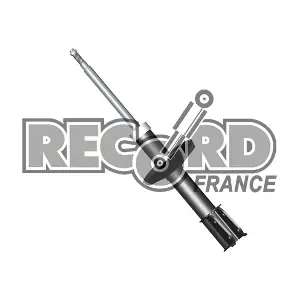 RECORD FRANCE 104446