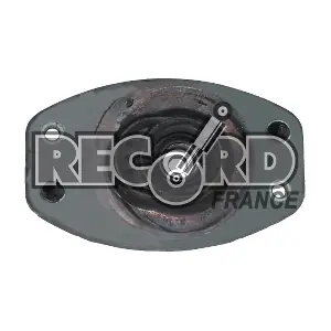 RECORD FRANCE 924135