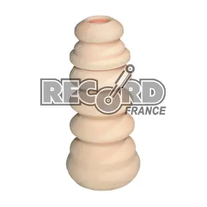 925927 RECORD FRANCE