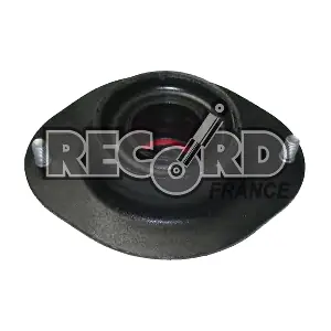 924884 RECORD FRANCE