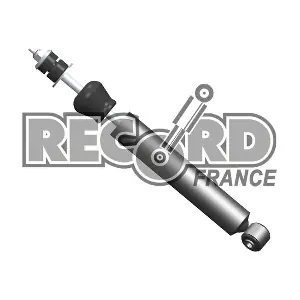 334252 RECORD FRANCE