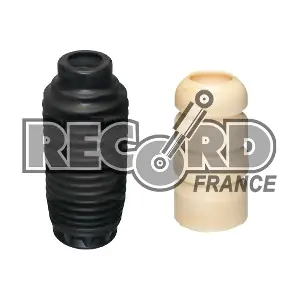 926005 RECORD FRANCE