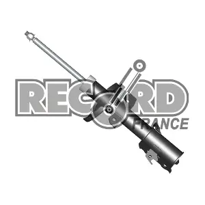 105007 RECORD FRANCE