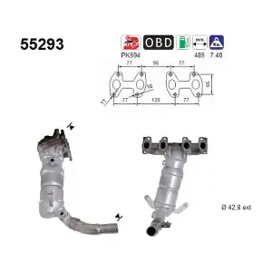 55293 AS