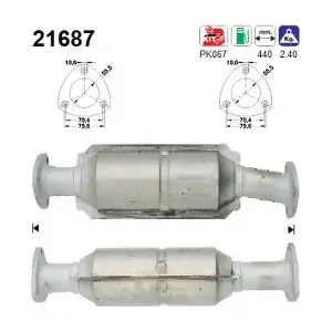 AS 21687