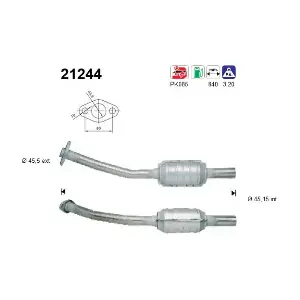 AS 21244
