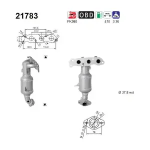 21264 TP Cats