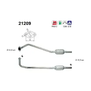 AS 21209