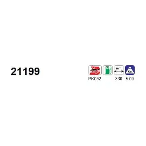 AS 21199