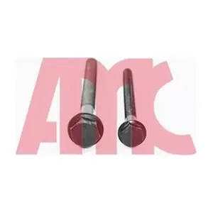 258867 AMC