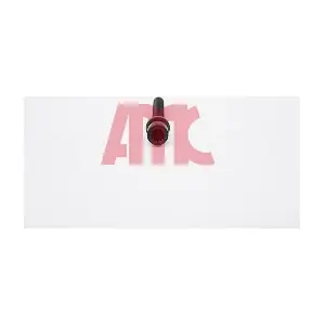 258028 AMC