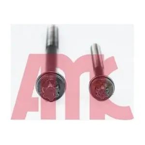 258545 AMC