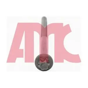 258723 AMC