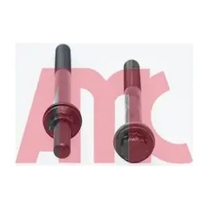258509 AMC