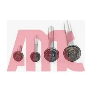 258546 AMC