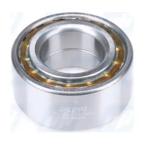 101341 Schaeffler FAG