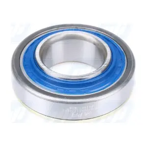 101111 Schaeffler FAG
