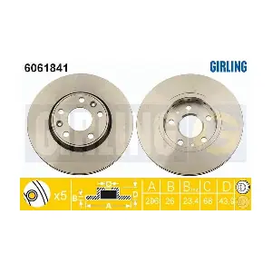 GIRLING 6061841