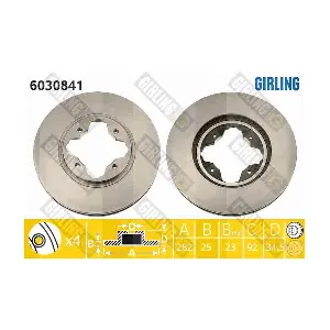 6030841 GIRLING