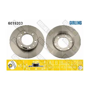 GIRLING 6019203