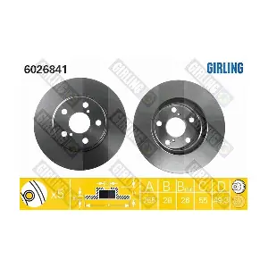 GIRLING 6026841