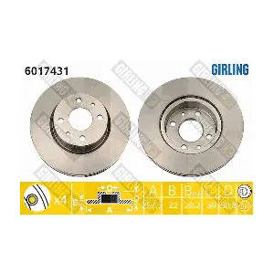 GIRLING 6017431