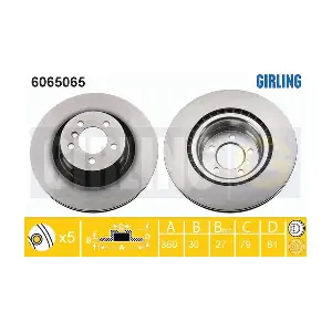 GIRLING 6065065