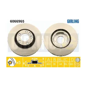 6066965 GIRLING