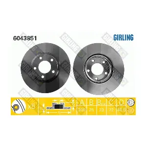 GIRLING 6043851