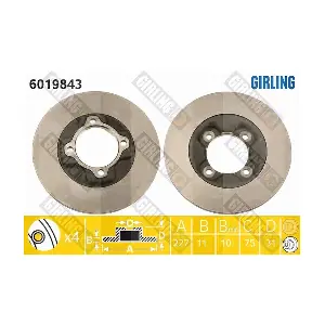 GIRLING 6019843
