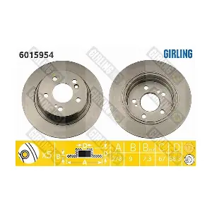 GIRLING 6015954