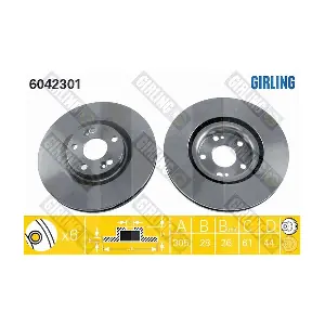 GIRLING 6042301