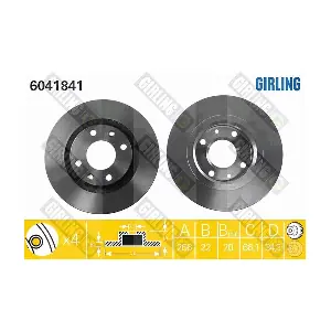GIRLING 6041841