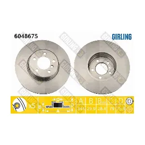 GIRLING 6048675