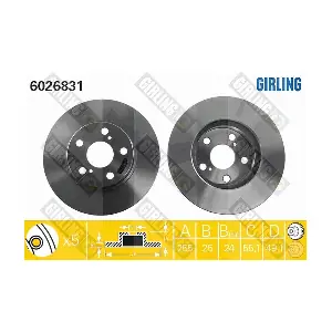 GIRLING 6026831