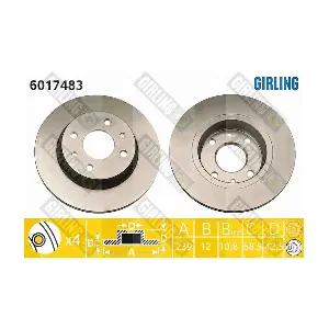 GIRLING 6017483
