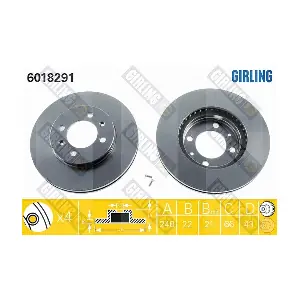 GIRLING 6018291