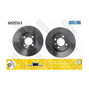 GIRLING 6025501