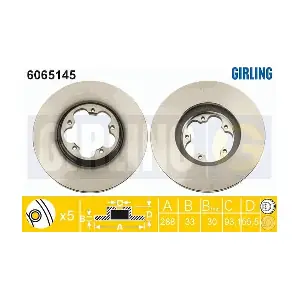 GIRLING 6065145