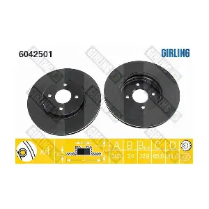 GIRLING 6042501
