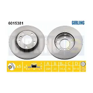 GIRLING 6015381