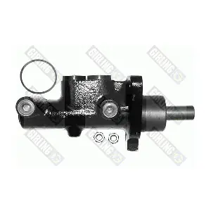 558099 HOLDEN