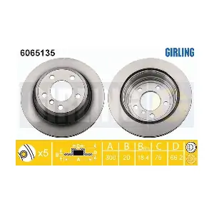 6065135 GIRLING