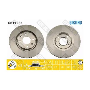 6011231 GIRLING