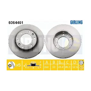 6064461 GIRLING